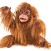 Folkmanis Affe / Baby Orang-Utan 3106 -Kinderspielzeug Rabatte 2578d595ec8d0484e7a3943ce270d3aa