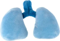 Sigikid Lernpuppe Erwin Der Kleine Patient Mehrfarbig 44cm, 38322 -Kinderspielzeug Rabatte 2b77e7cb39fa8eb672c159edd6338a50