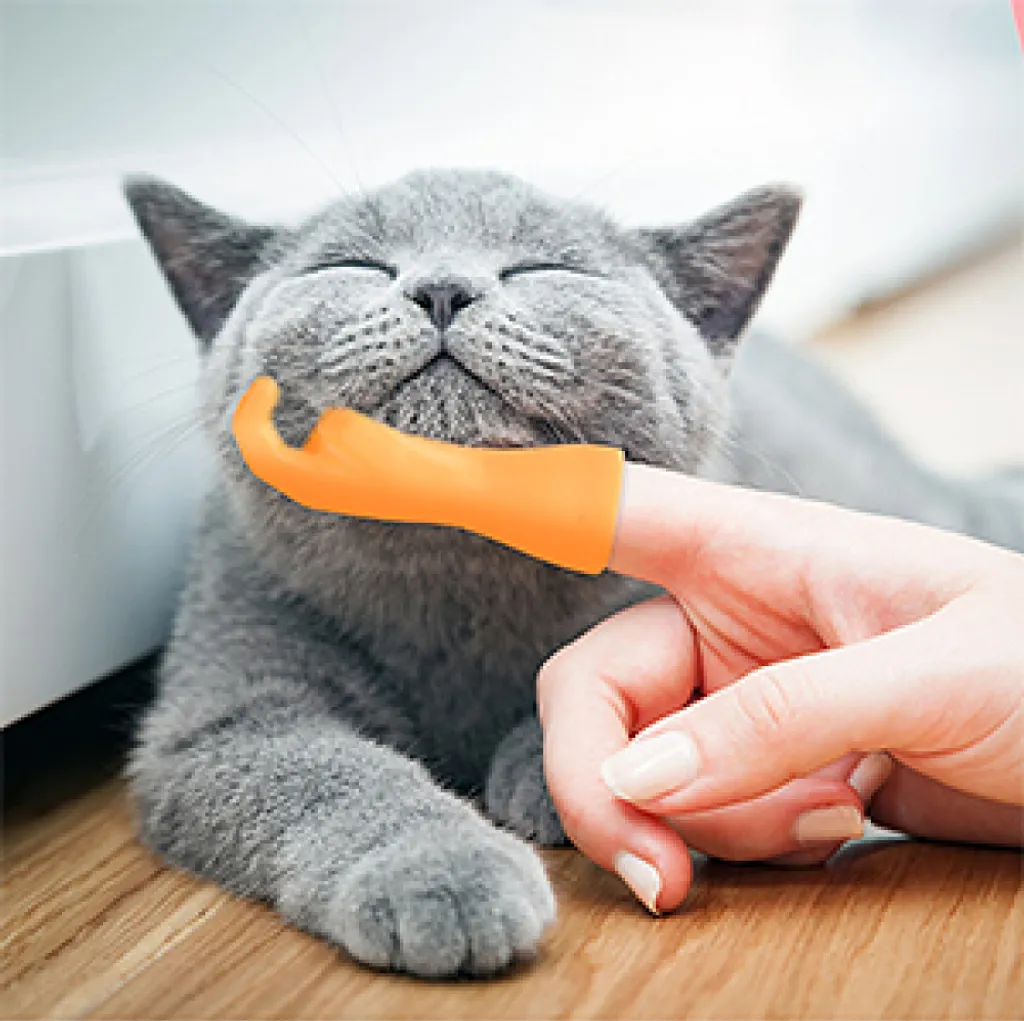 6 Stück Kleine Hände Fingerpuppen Set Fingerhände Magisches Spielzeug Lustiges Spielzeug Geburtstagsparty Spielparty 7 6 Stück Kleine Hände Fingerpuppen Set Fingerhände Magisches Spielzeug Lustiges Spielzeug Geburtstagsparty Spielparty – Bild 5