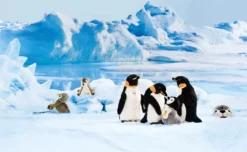 Steiff Robby Seehund 30 Grau/weiss 063114 12 Steiff Robby Seehund 30 Grau/weiss 063114 -Kinderspielzeug Rabatte e0928d586c5dab990cc4036fbddddc5f